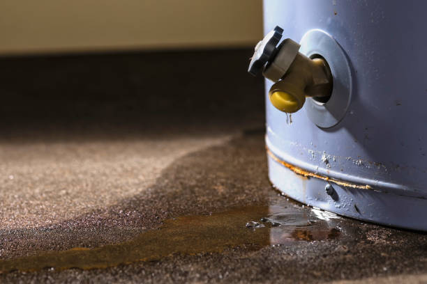 Best Water damage restoration near me  in Sylacauga, AL