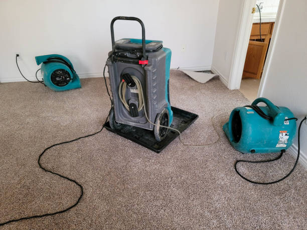 Best Fire Damage Restoration  in Sylacauga, AL