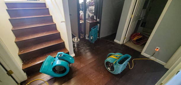 Best Residential water damage restoration  in Sylacauga, AL