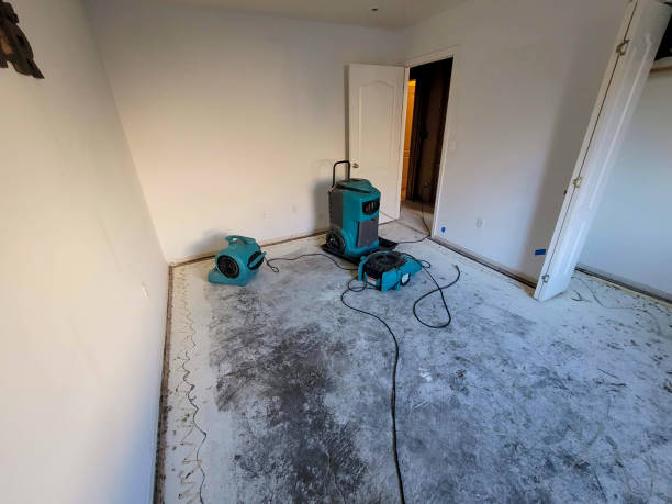 Best 24-hour water damage restoration  in Sylacauga, AL