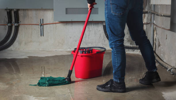 Best Commercial water damage restoration  in Sylacauga, AL