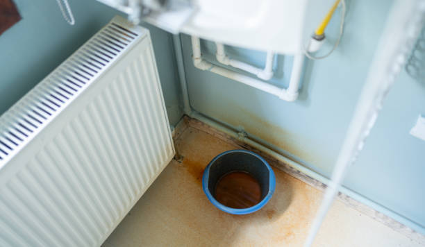Best Water damage restoration near me  in Sylacauga, AL