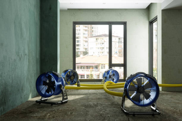 24/7 water damage repair in AL